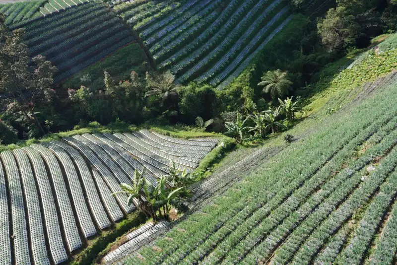 重庆广告制作中喷绘与写真工艺差异及适用场景解析