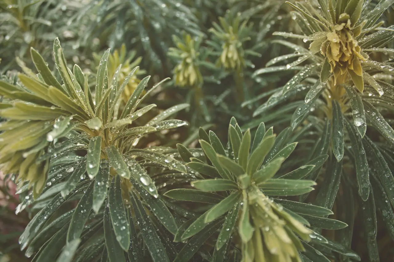 重庆户外广告喷绘写真制作工艺与精度标准详解