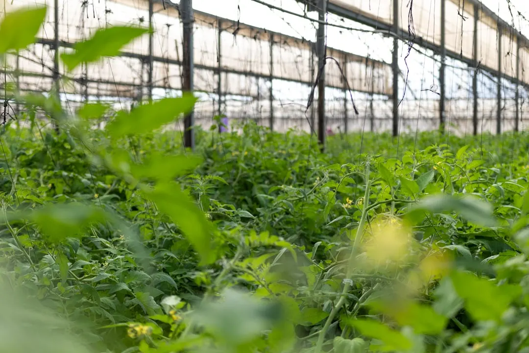重庆广告制作行业喷绘写真技术升级趋势解析