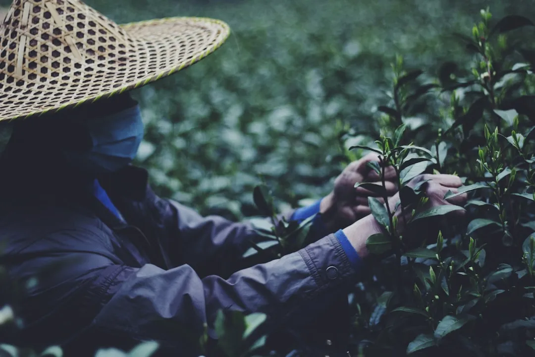 标识标牌与发光字定制方案：企业户外广告制作全流程解析